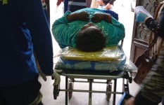 جانب من الفعاليات 