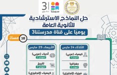 حل النماذج الاسترشادية 