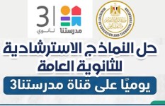 النماذج الاسترشادية 