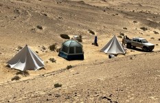 جانب من الفعاليات 