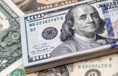 ارتفاع سعر الدولار مقابل الجنيه 