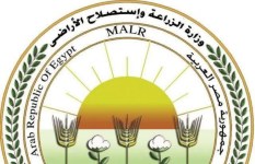 وزارة الزراعة 