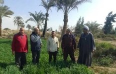 الزراعة تكثف المرور على الحقول لمتابعة صرف الأسمدة