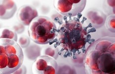  حقيقة علاج السرطان بالأدوية البيطرية