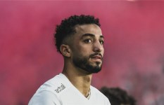 محمد عبد المنعم 