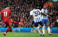 ليفربول وبرايتون 