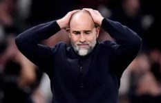 إيجور تودور 