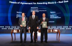 وزير البترول 