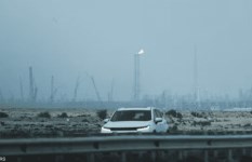 النفط والغاز القطري