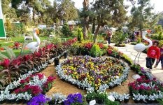 معرض زهور الربيع 2026