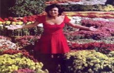 "الدنيا ربيع