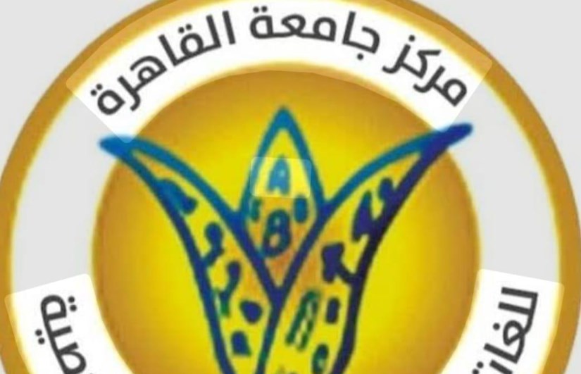 مركز جامعة القاهرة للغات 