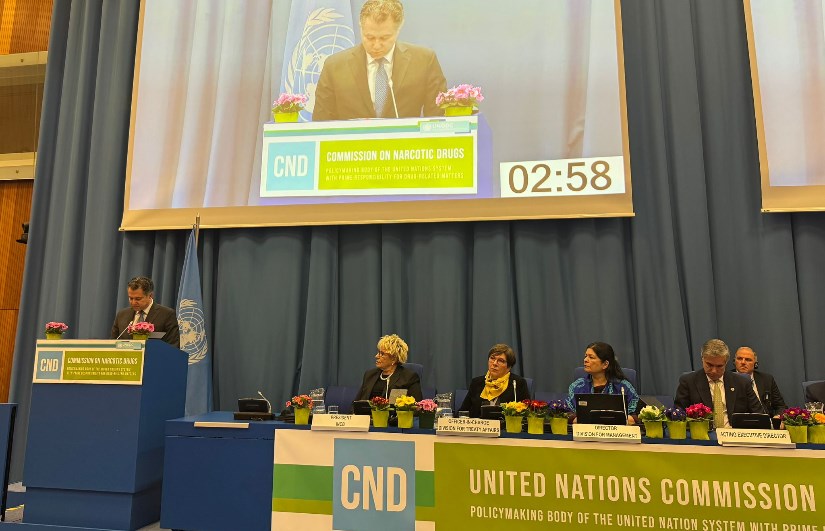 جانب من الفعاليات 