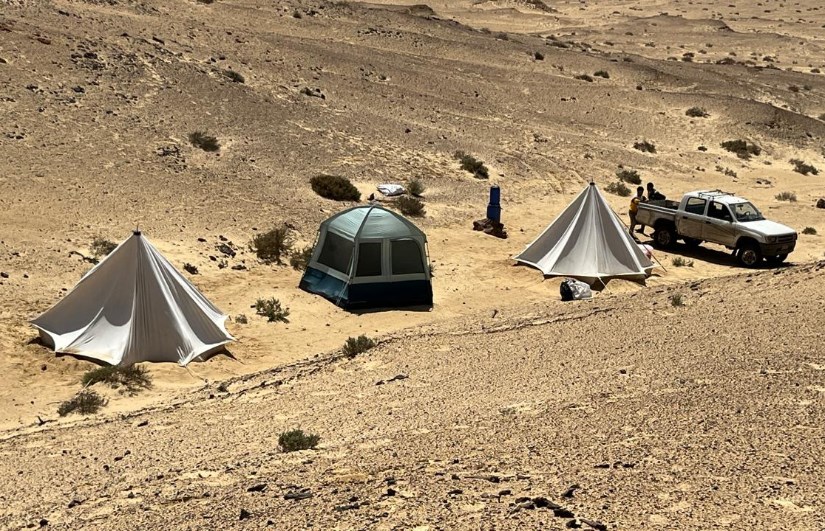 جانب من الفعاليات 