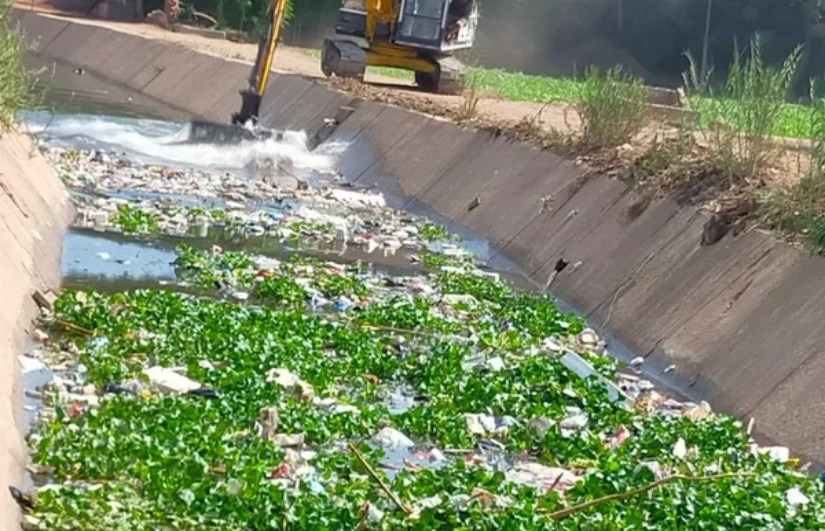 زراعة المنوفية: الموافقة على ترخيص 161 مشروع زراعي متنوع خلال شهرين