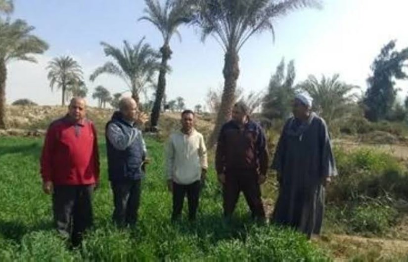 الزراعة تكثف المرور على الحقول لمتابعة صرف الأسمدة