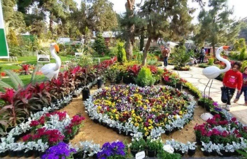 معرض زهور الربيع 2026