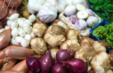 تخزين البصل والثوم