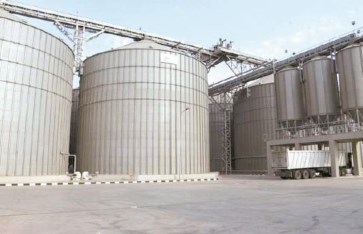 وكيل الزراعة بالمنوفية يؤكد جاهزية صوامع شبين الكوم لاستقبال 20 ألف طن قمح