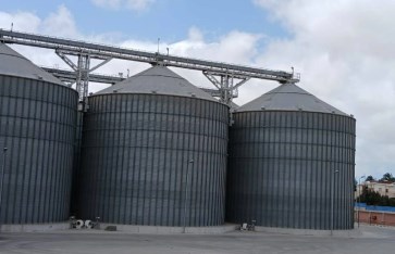 تموين الإسكندرية: 4 لجان فنية لتسليم محصول القمح لصوامع المحافظة 