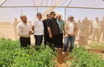 محافظ الوادى الجديد تشهد حصاد مشروعات الاستثمار الزارعى