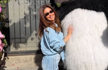 الفنانة مي سليم