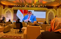 جانب من الفعاليات 