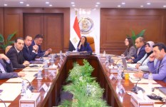 جانب من الفعاليات 