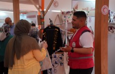 ديارنا زهور الربيع