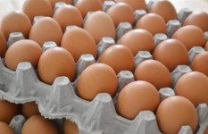 سعر كرتونة البيض خلال شم النسيم
