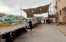 كفر الشيخ تستقبل 7150 طن قمح ضمن موسم التوريد 