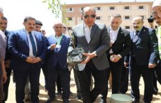 محافظ المنيا يشارك في زراعة 500 شجرة بمجمع مدارس مغاغة