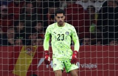 مصطفى شوبير 