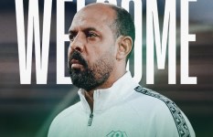عماد النحاس 