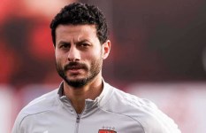 محمد الشناوي 