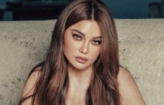 الفنانة هيفاء وهبي