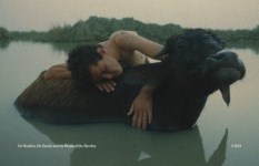 مهرجان الإسكندرية للفيلم القصير 