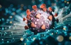 محور كورونا 