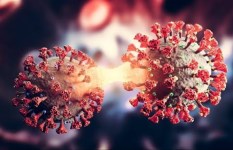 متحور كورونا الجديد سيكادا