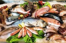 أسعار الأسماك اليوم في مصر الخميس