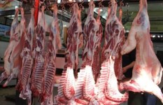 أسعار اللحوم في مصر اليوم الأحد