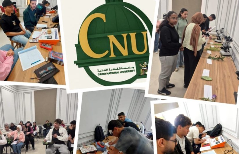 جانب من الفعاليات 