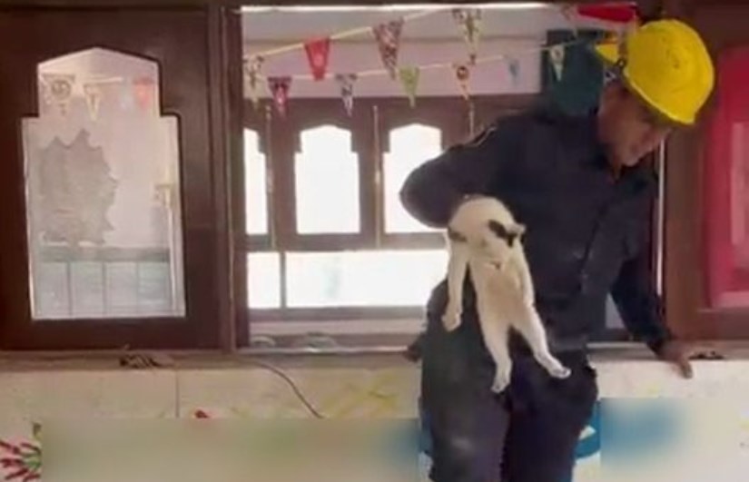 الشرطة تنقذ قطة