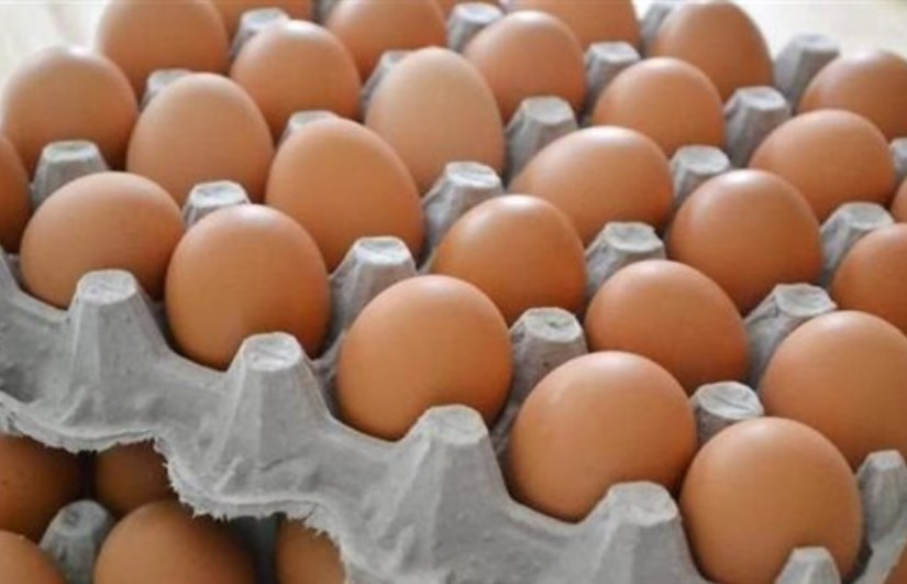سعر كرتونة البيض خلال شم النسيم