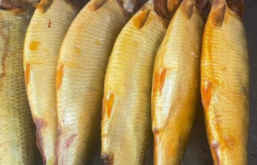 أسعار الرنجة والفسيخ اليوم