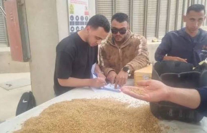 محافظ القليوبية يتابع استعدادات موسم توريد القمح 