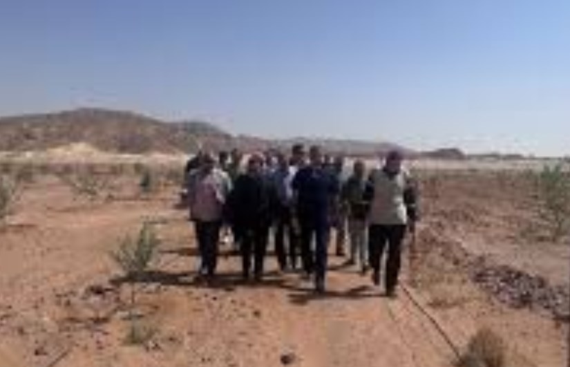 وزير الزراعة يوجه بتقديم الدعم الفني العاجل لمتضرري السيول