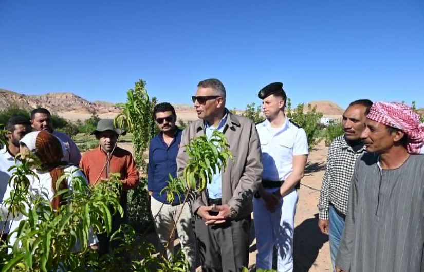 محافظ جنوب سيناء يتفقد تجمعات وادي سعال المتأثرة بالسيول