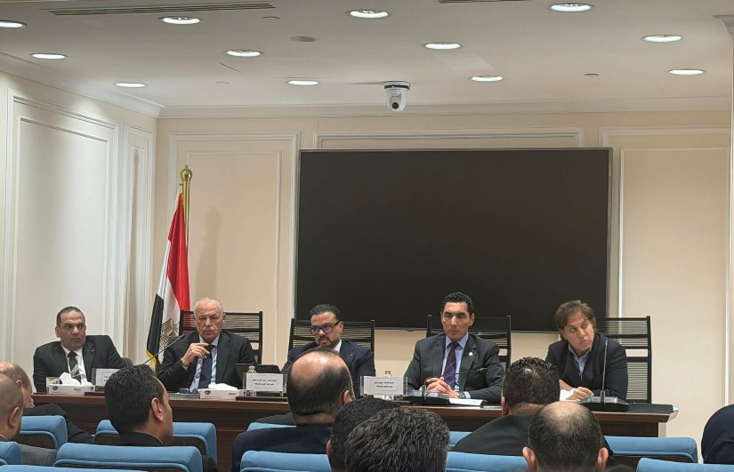 هاني أبو ريدة 