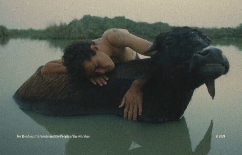 مهرجان الإسكندرية للفيلم القصير 